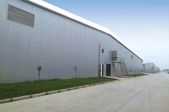 菌菇養殖--安陽眾興育菇房