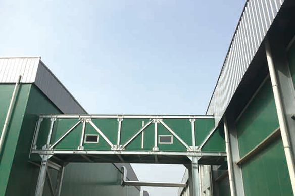 菌菇養殖--陜西眾興菌業